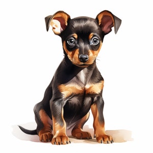Pinscher Hund Clipart, Mini Pin, Hündchen Bilder, 10 Aquarell Clip Art, druckbare JPGs, Sofort Download, kommerzielle Nutzung