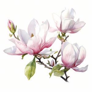 Magnolia clipart, afbeeldingen lente roze bloemen, 10 aquarel illustraties, afdrukbare JPG's, Instant Download, Commercieel gebruik, Papercraft