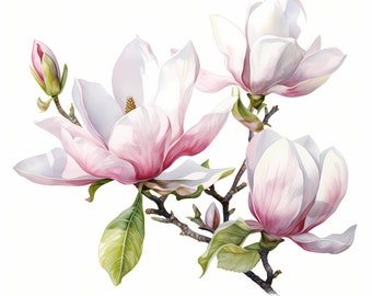 May include: A watercolor painting of a magnolia flower branch with three pink and white blossoms and green leaves.