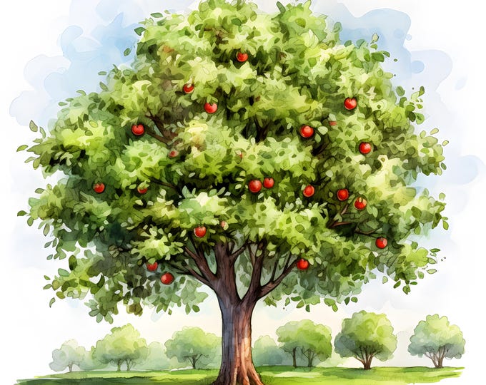 Apple Trees Clipart, Apple in Orchard Images, 10 Watercolor Clip Art, Printable JPGs, Instant Download, Commercial Use, Paper craft