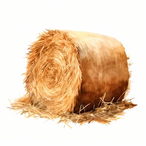 Watercolor Hay Bale Clipart: Farm Images (JPGs, Commercial Use)