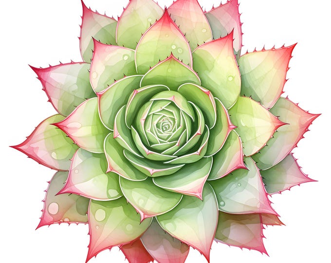 Aloe Rosette Clipart, Aloe Vera Images, 10 Watercolor Clip Art, Printable JPGs, Instant Download, Commercial Use, Paper craft