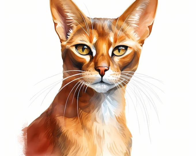 Abyssinian Cat Clipart, Abyssinian Kittens Images, 10 Watercolor Clip Art, Printable JPGs, Instant Download, Commercial Use, Paper craft