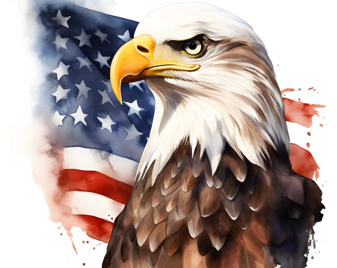 Patriotic Eagle Clipart, Eagle With Usa Flag Images, 10 Watercolor Clip Art, Printable JPGs, Instant Download, Commercial Use, Paper craft