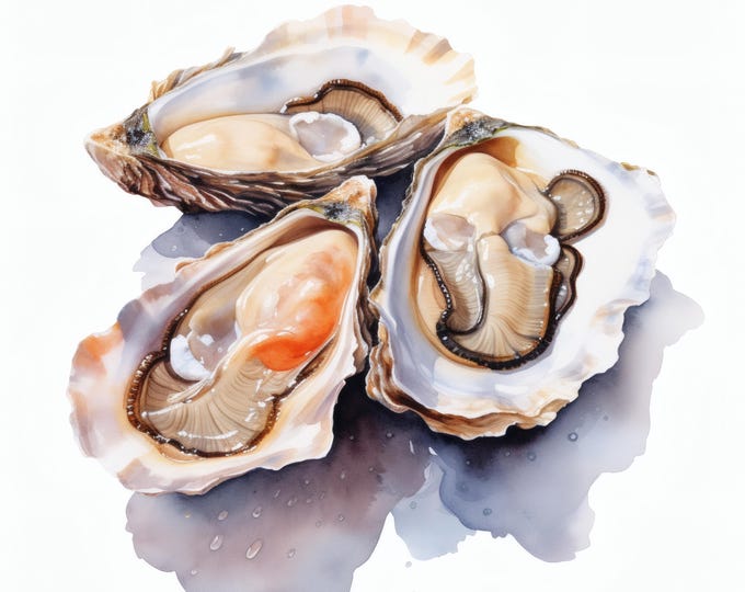 Oysters Clipart, Shellfish Seafood Images, 10 Watercolor Clip Art, Printable JPGs, Instant Download, Commercial Use, Paper craft