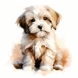 Watercolor Havanese Dog Clipart: Puppy Images (JPG, Commercial Use)