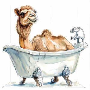 Clipart di cammello nella vasca da bagno, immagini di lavaggio di cammello, 10 clipart di acquerello, JPG stampabili, download immediato, uso commerciale, artigianato di carta