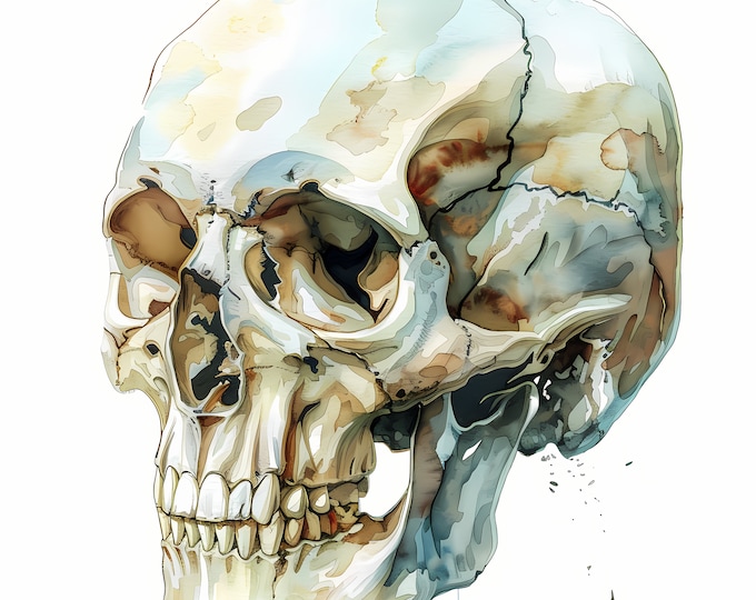 Skull Clipart, Skeleton Head Images, 10 Watercolor Clip Art, Printable JPGs, Instant Download, Commercial Use, Paper craft