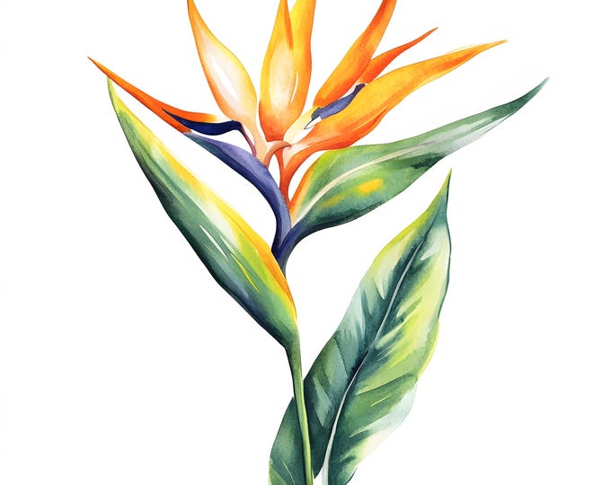 Bird of Paradise Clipart, Tropical Flower Images, 10 Watercolor Clip Art, Printable JPGs, Instant Download, Commercial Use, Paper craft