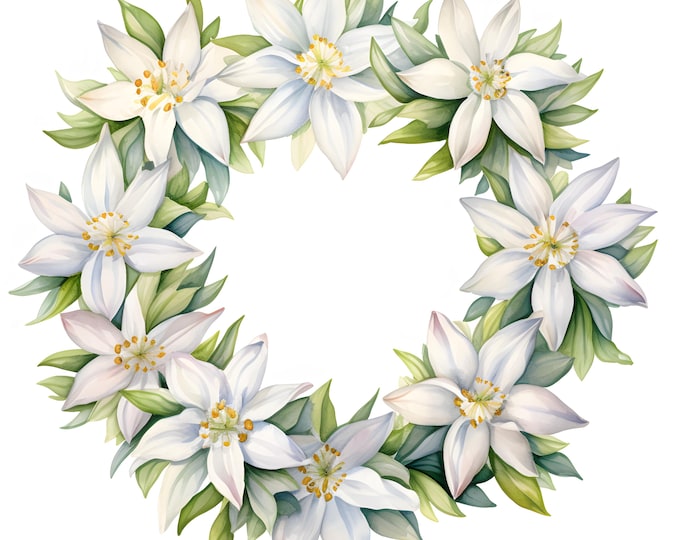 Edelweiss Wreath Clipart, Floral Wreath Images, 10 Watercolor Clip Art, Printable JPGs, Instant Download, Commercial Use, Paper craft