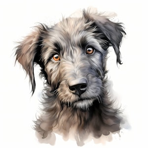 Clipart de chien lévrier irlandais, images de chiot, 10 cliparts aquarelle, fichiers JPG imprimables, téléchargement immédiat, usage commercial, chien lévrier