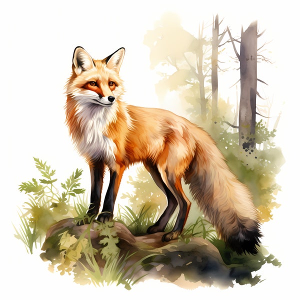 Fox in Forest, Red Fox, Forest Animal - Watercolor Clipart Set with 10 JPG Images - Instant Download, Commercial Use, Digital Prints