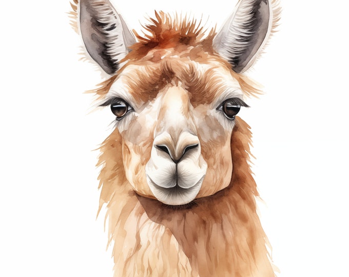 Llama Clipart, Llama Images, 16 Watercolor Clip Art, Printable JPGs, Instant Download, Commercial Use, Paper craft