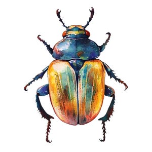 Imágenes prediseñadas de escarabajos, imágenes de insectos, 10 imágenes prediseñadas de acuarela, archivos JPG imprimibles, descarga instantánea, uso comercial, manualidades de papel
