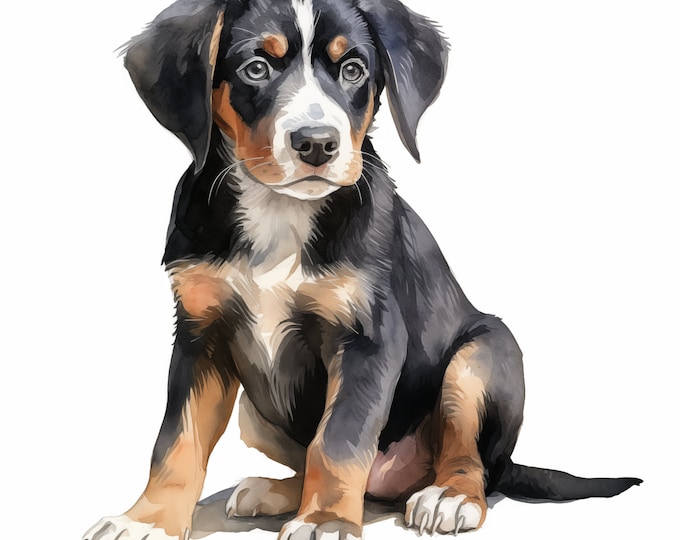 Greater Swiss Mountain Dog Clipart, Puppy Dog Images, 10 Watercolor Clip Art, Printable JPGs, Instant Download, Commercial Use