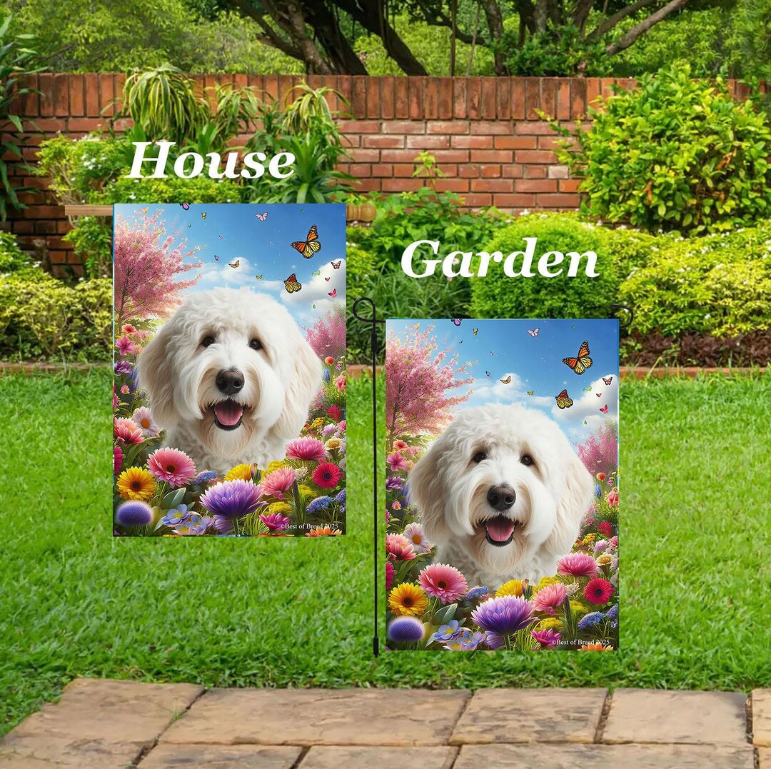 Labradoodle White - Best of Breed Spring Butterflies Outdoor House (28 ...