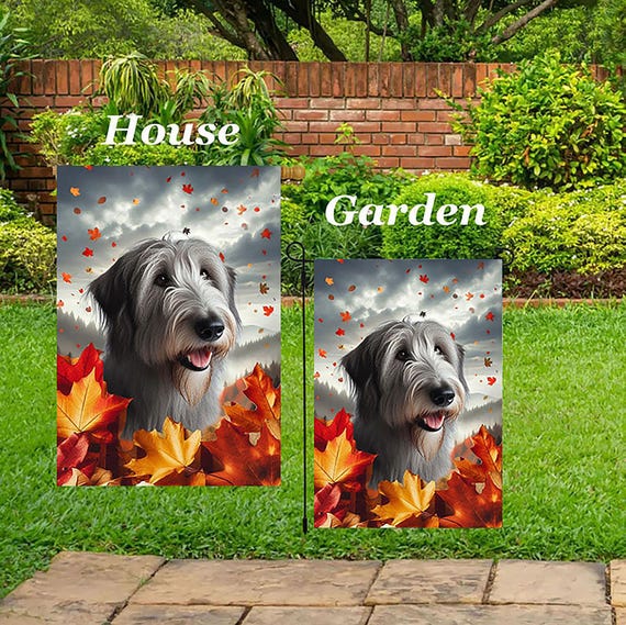 Irish Wolfhound Grey Best of Breed Falling Leaves Outdoor House
