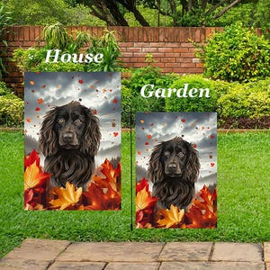 May include: Two outdoor flags, one for the house and one for the garden, feature a portrait of a brown dog with autumn leaves. The flags have the words "House" and "Garden" printed on them. The dog has long, wavy fur and is surrounded by red and yellow leaves.