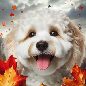 May include: A close-up of a smiling, fluffy white and tan dog with a pink tongue, surrounded by falling autumn leaves. The background is a cloudy sky with hints of a forest. The leaves are red, orange, and yellow.