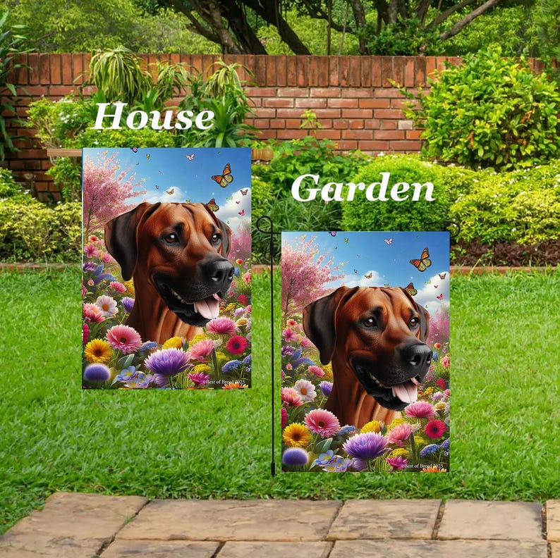 Rhodesian Ridgeback - Best of Breed Spring Butterflies Outdoor House ...