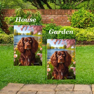 May include: Two garden flags with a brown dog portrait. The flags feature a dog with long, wavy brown fur, set against a backdrop of a lake, pink blossoms, and green foliage. The word "House" and "Garden" are printed on the flags.