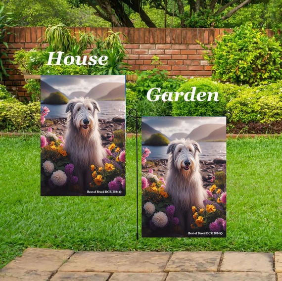 Irish Wolfhound White Best of Breed DCR Spring Scene Outdoor