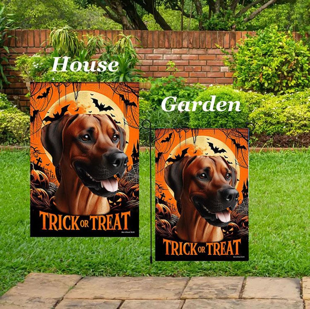 Rhodesian Ridgeback - Best of Breed Halloween Outdoor House (28