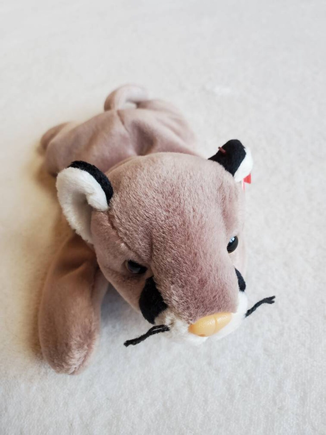 Vintage TY Plushie Beanie Baby 'canyon' the Lynx Etsy