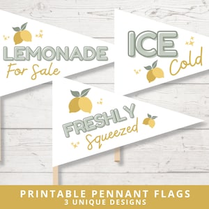 Lemonade Stand Signs | Lemonade Stand Party Decor | Lemonade Stand Pretend Play | Printable Pennant Flags