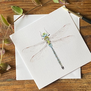 Carte de voeux aquarelle libellule empereur peinte à la main