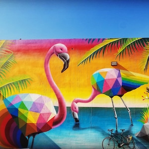 Flamingo geometrical graffiti urban art