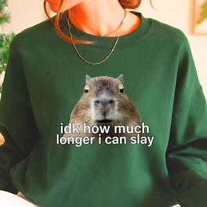 May include: A green sweatshirt with a capybara face and the text "idk how much longer i can slay" printed on the front.