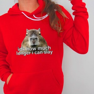 Sarcastic Hoodie, Sarcastic Sweatshirt, Idk How Much Longer I Can Slay, Funny Sayings Sweatshirt, Funny Sweatshirts, Meme Shirt, Funny Shirt image 4