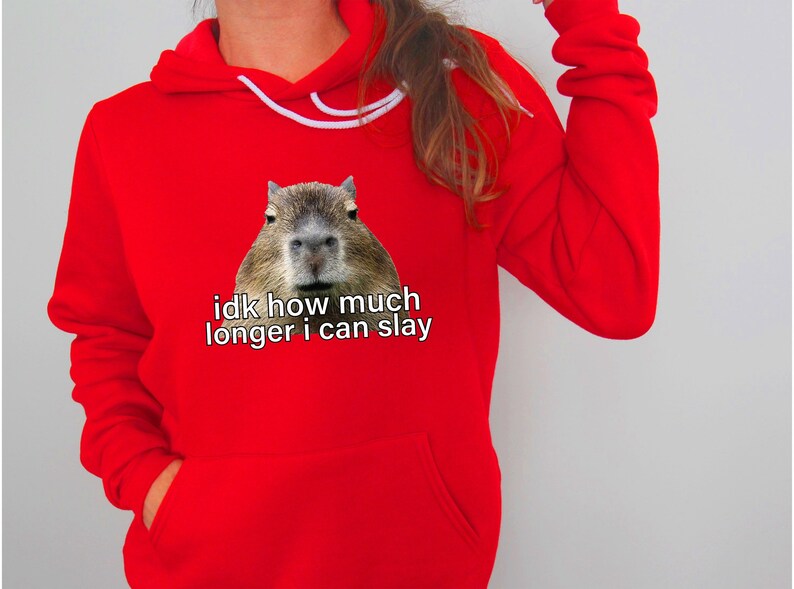 Sarcastic Hoodie, Sarcastic Sweatshirt, Idk How Much Longer I Can Slay, Funny Sayings Sweatshirt, Funny Sweatshirts, Meme Shirt, Funny Shirt image 4