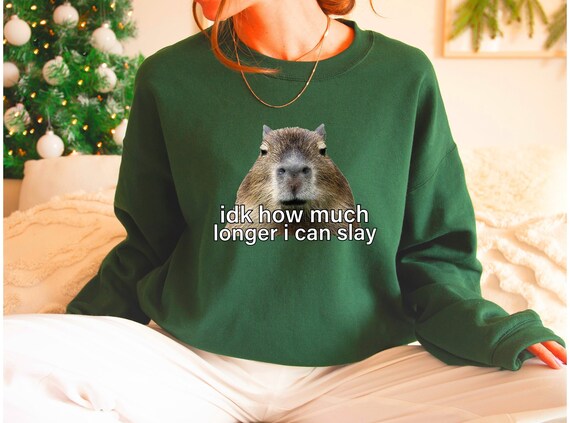 Sarcastic Hoodie, Sarcastic Sweatshirt, Idk How Much Longer I Can Slay, Funny Sayings Sweatshirt, Funny Sweatshirts, Meme Shirt, Funny Shirt