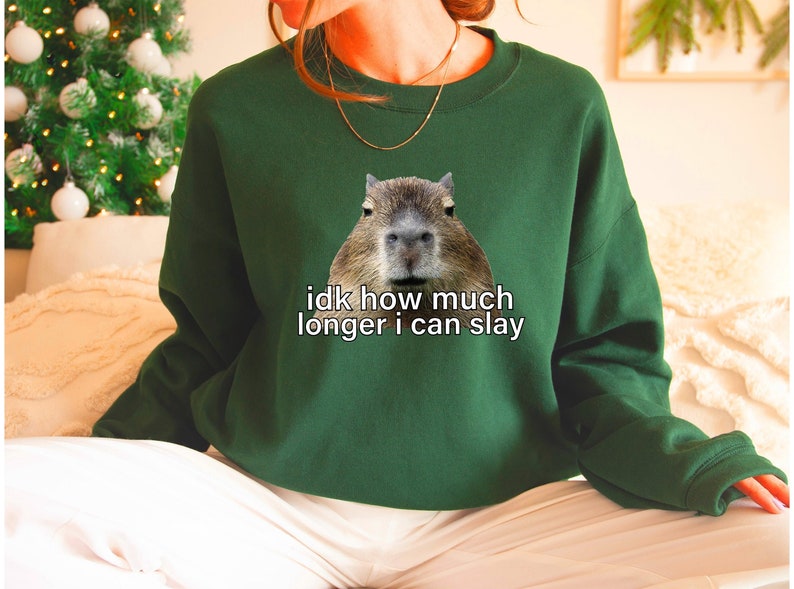 May include: A green sweatshirt with a capybara face and the text "idk how much longer i can slay" printed on the front.
