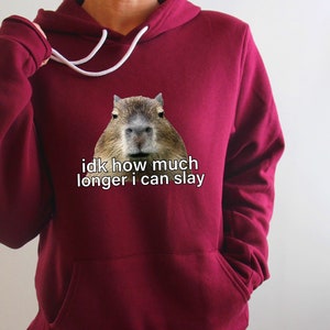 Sarcastic Hoodie, Sarcastic Sweatshirt, Idk How Much Longer I Can Slay, Funny Sayings Sweatshirt, Funny Sweatshirts, Meme Shirt, Funny Shirt image 2