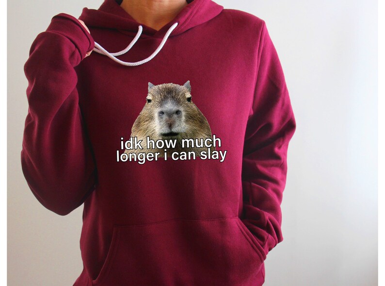 Sarcastic Hoodie, Sarcastic Sweatshirt, Idk How Much Longer I Can Slay, Funny Sayings Sweatshirt, Funny Sweatshirts, Meme Shirt, Funny Shirt image 2