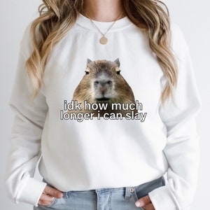 Sarcastic Hoodie, Sarcastic Sweatshirt, Idk How Much Longer I Can Slay, Funny Sayings Sweatshirt, Funny Sweatshirts, Meme Shirt, Funny Shirt image 6