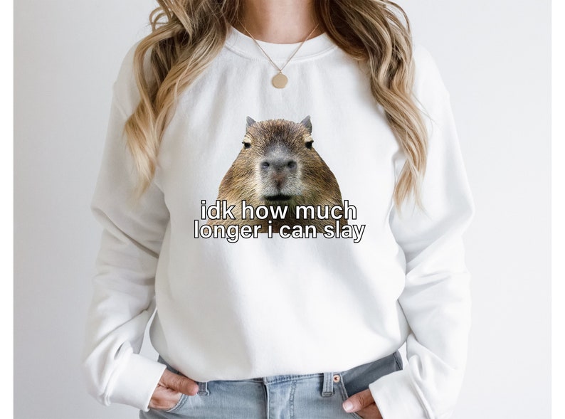 Sarcastic Hoodie, Sarcastic Sweatshirt, Idk How Much Longer I Can Slay, Funny Sayings Sweatshirt, Funny Sweatshirts, Meme Shirt, Funny Shirt image 6