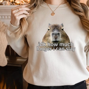 Sarcastic Hoodie, Sarcastic Sweatshirt, Idk How Much Longer I Can Slay, Funny Sayings Sweatshirt, Funny Sweatshirts, Meme Shirt, Funny Shirt image 3