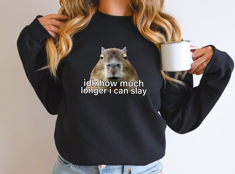 Sarcastic Hoodie, Sarcastic Sweatshirt, Idk How Much Longer I Can Slay, Funny Sayings Sweatshirt, Funny Sweatshirts, Meme Shirt, Funny Shirt image 5
