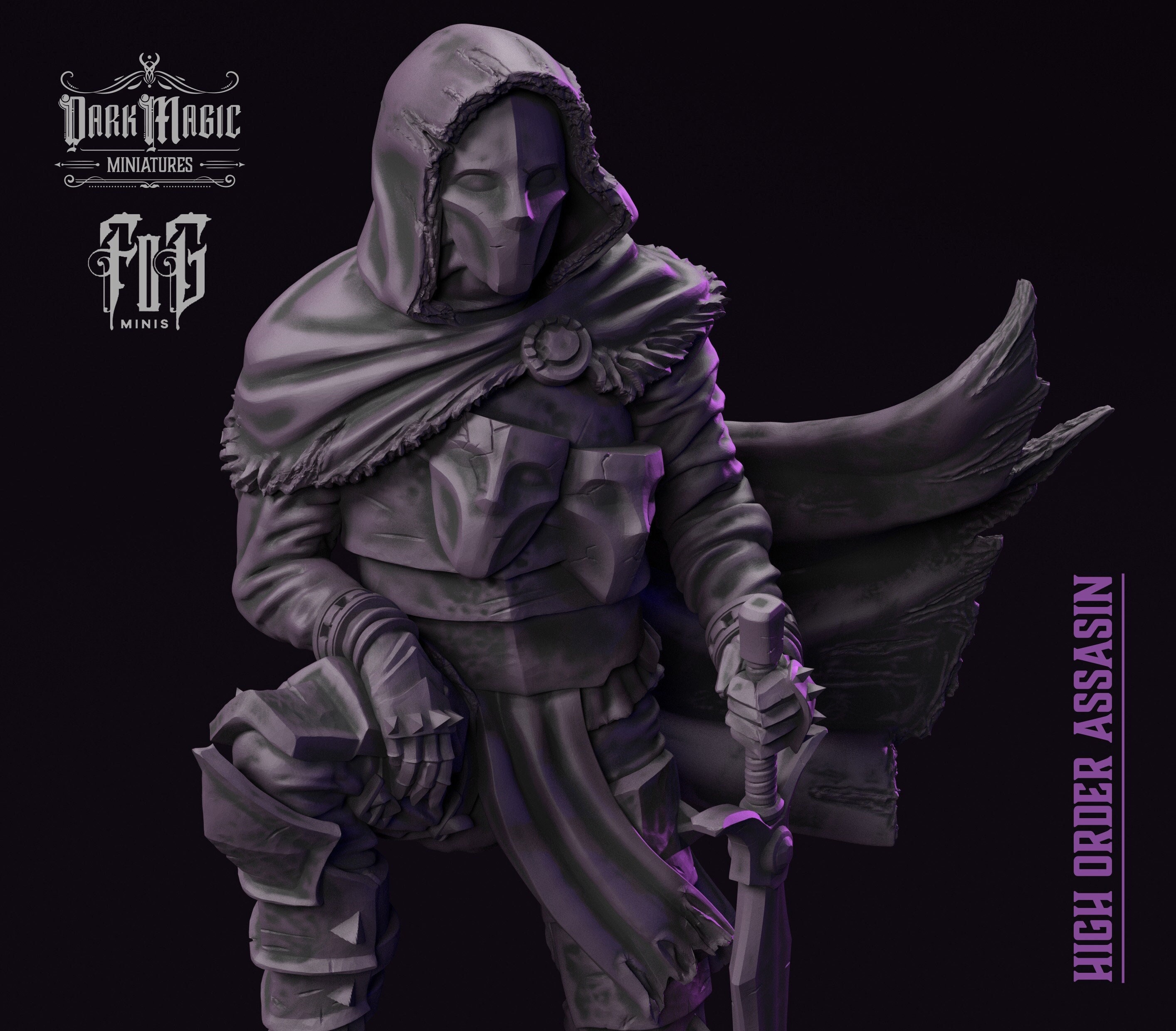 Assassin Character NPC 3D Printed -
