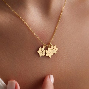 Könnte beinhalten: Goldkette mit drei Pfotenabdruck-Anhängern, die jeweils mit einem Buchstaben graviert sind. Die Anhänger hängen an einer zarten goldenen Kette.