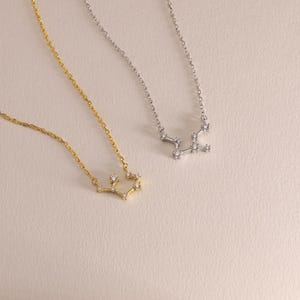 Zodiac Necklace, Custom Astrology Zodiac Sign Pendant for Her, Sterling Silver, Personalised  Jewelry, Christmas Gift, Mother Day Gift