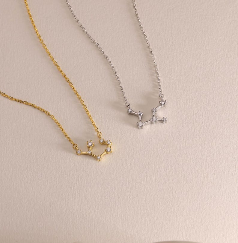 Zodiac Necklace, Custom Astrology Zodiac Sign Pendant for Her, Sterling Silver, Personalised  Jewelry, Christmas Gift, Mother Day Gift