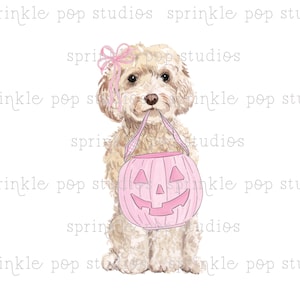 May include: A light brown dog wearing a pink bow and holding a pink pumpkin-shaped trick-or-treat bag.