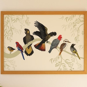 Australian Birds on Gumtree Poster