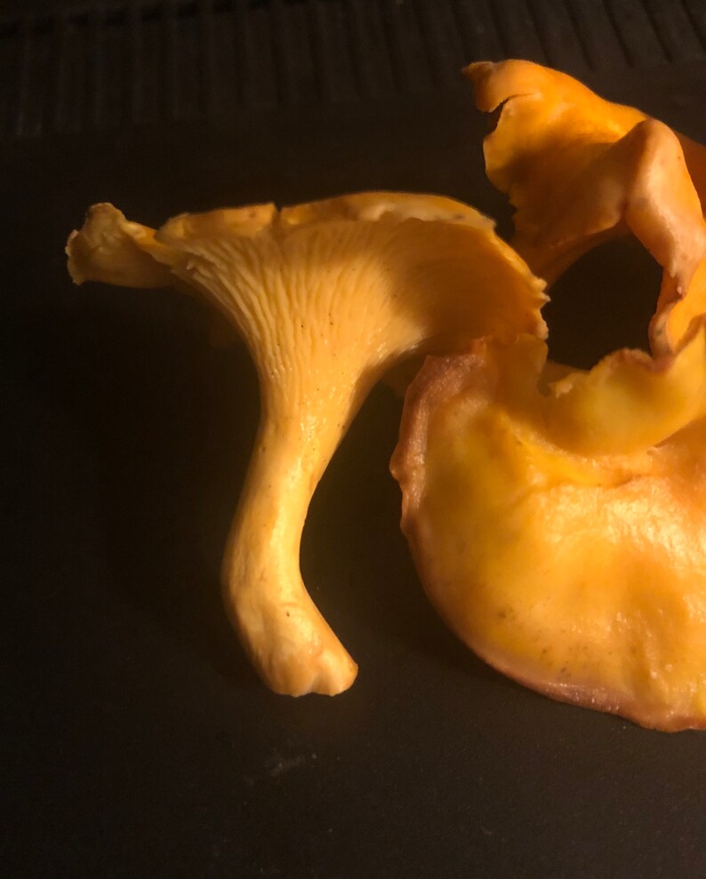 Forest Food Shop Dried Chanterelle Mushrooms - 3oz Wild Handpicked Gourmet Mushrooms