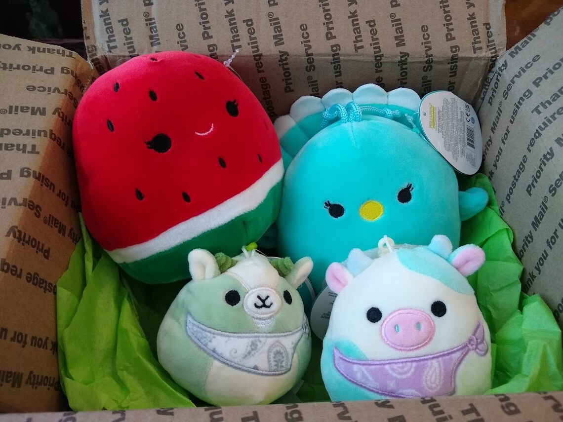 Squishmallow Mystery Box MINI BOX ONE 5 Inch Squish Comes Etsy
